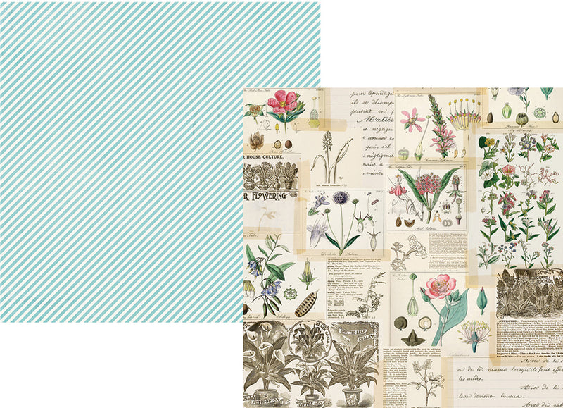 Simple Vintage Botanicals 12x12 Paper - Embrace Life