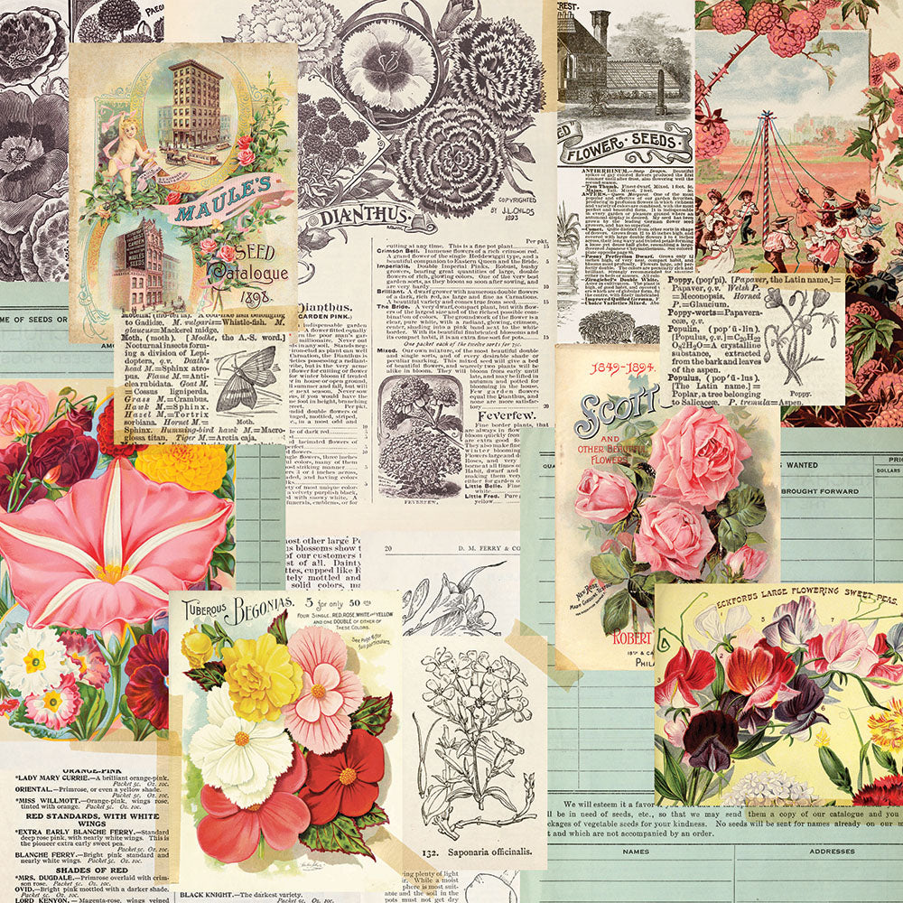 Simple Vintage Garden District 12x12 Paper - See the Beauty