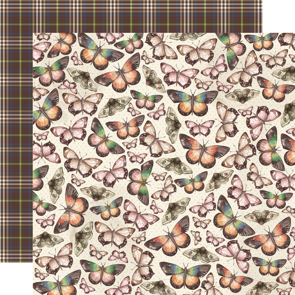 Simple Vintage Woodlands Let's Explore - 25 pack