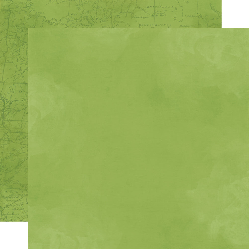 Simple Vintage Woodlands Fern - 25 pack