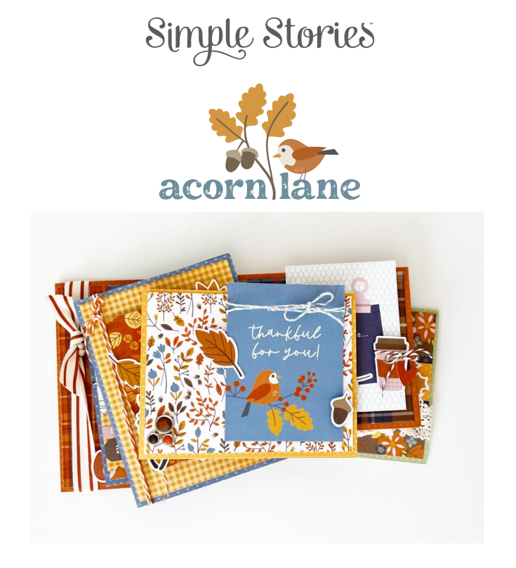 New! Say Cheese At The Park Embellishment Additions Bundle #2