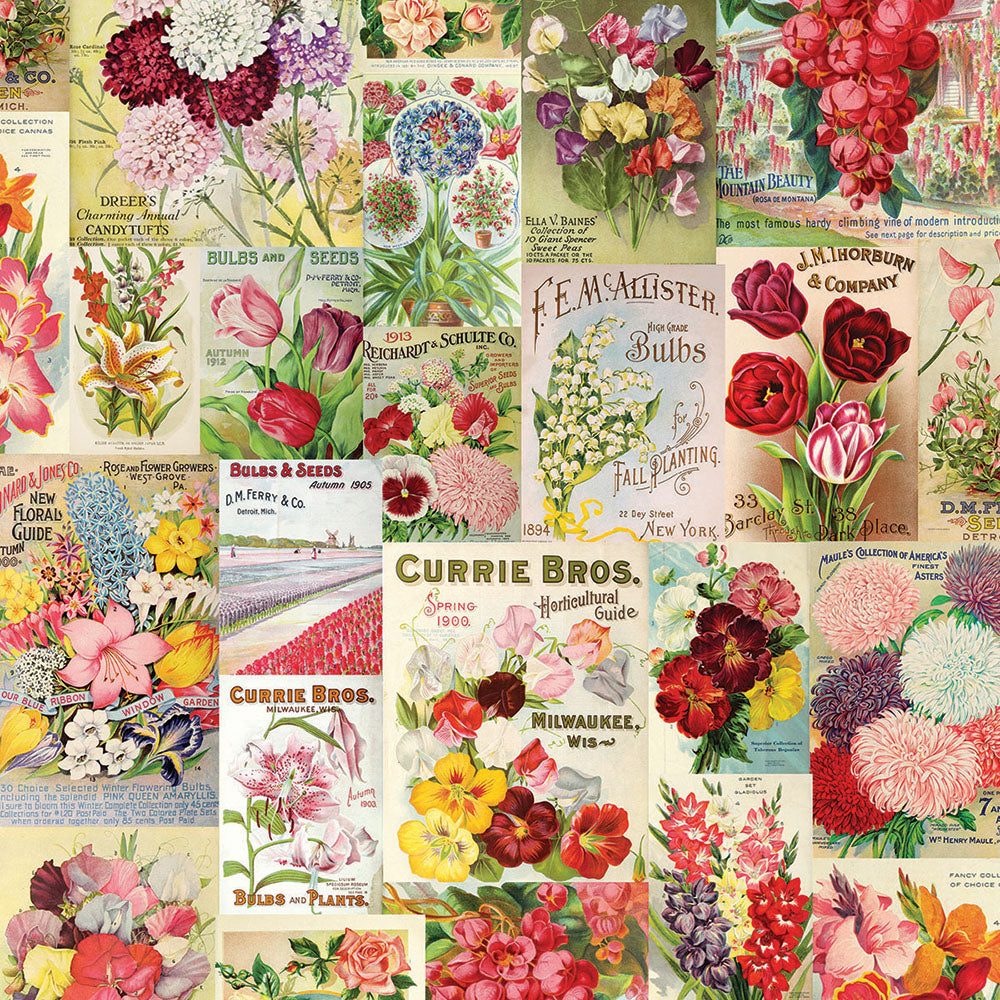 Simple Vintage Botanicals 12x12 Paper - Scatter Kindness