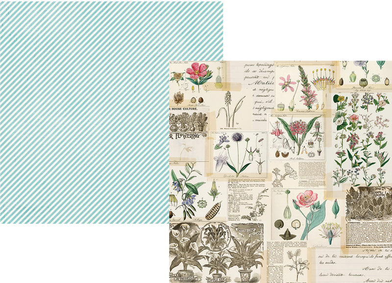 Simple Vintage Botanicals 12x12 Paper - Shine Bright