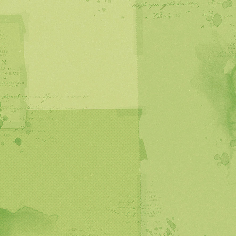 Simple Vintage Botanicals 12x12 Paper - Green/Pink