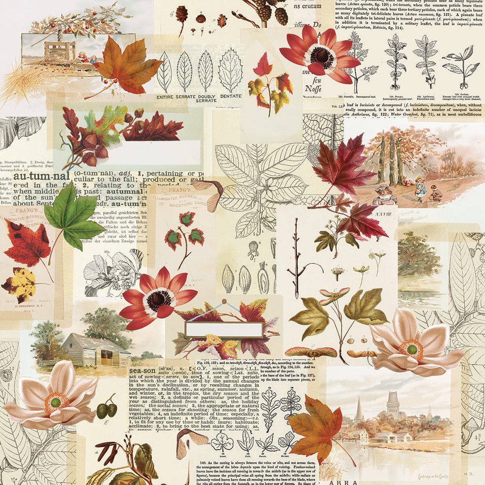 Autumn Splendor 12x12 Paper - Grateful Hearts