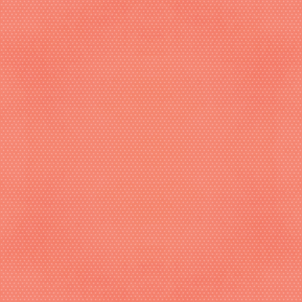 Color Vibe Basics 12x12 Textured Cardstock – Priceless Scrapbooks