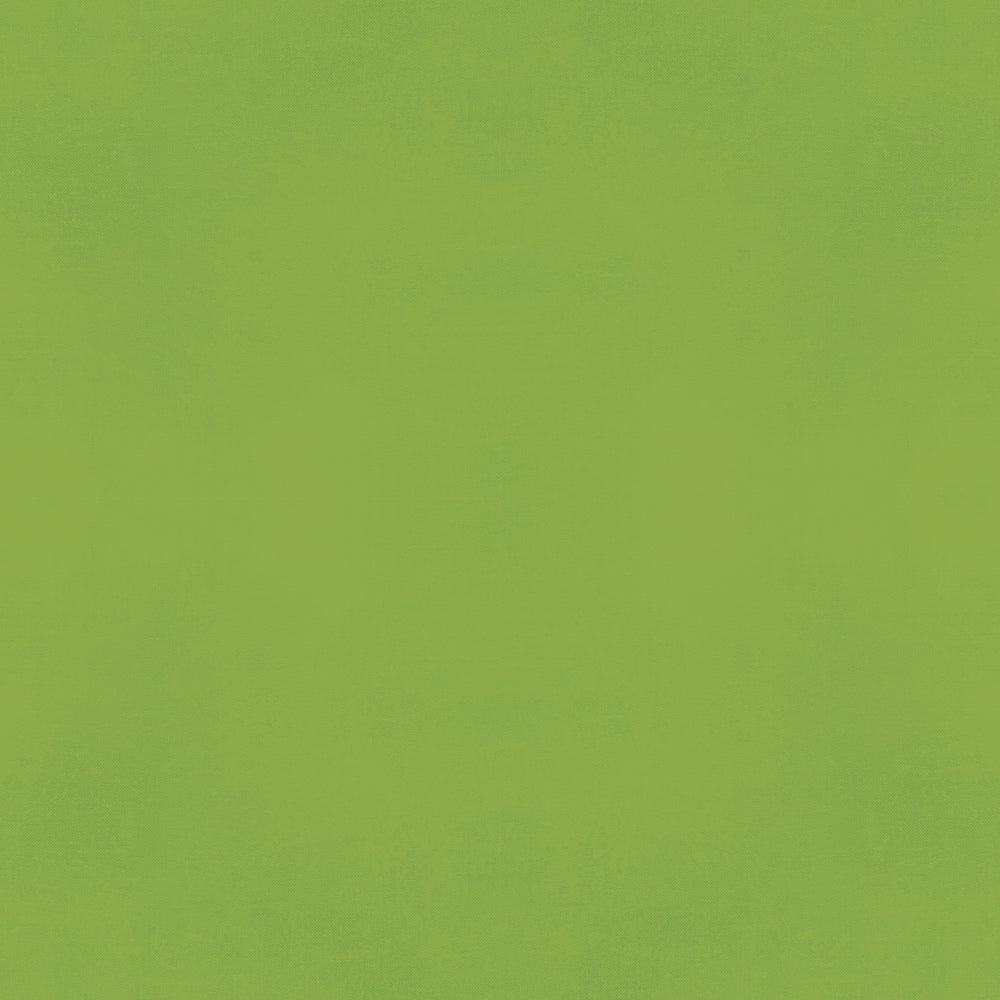 Color Vibe 12x12 Textured Cardstock - Green
