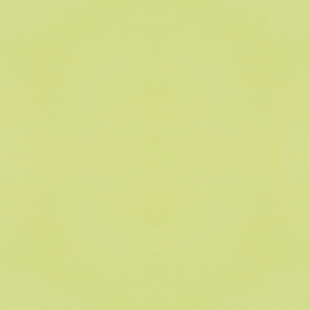 Color Vibe 12x12 Textured Cardstock - Pear