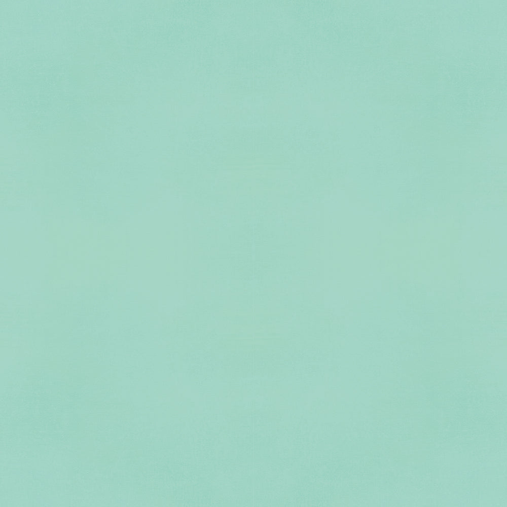 Color Vibe 12x12 Textured Cardstock - Robin's Egg