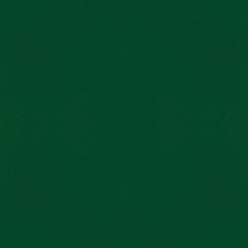 Color Vibe 12x12 Textured Cardstock - Evergreen